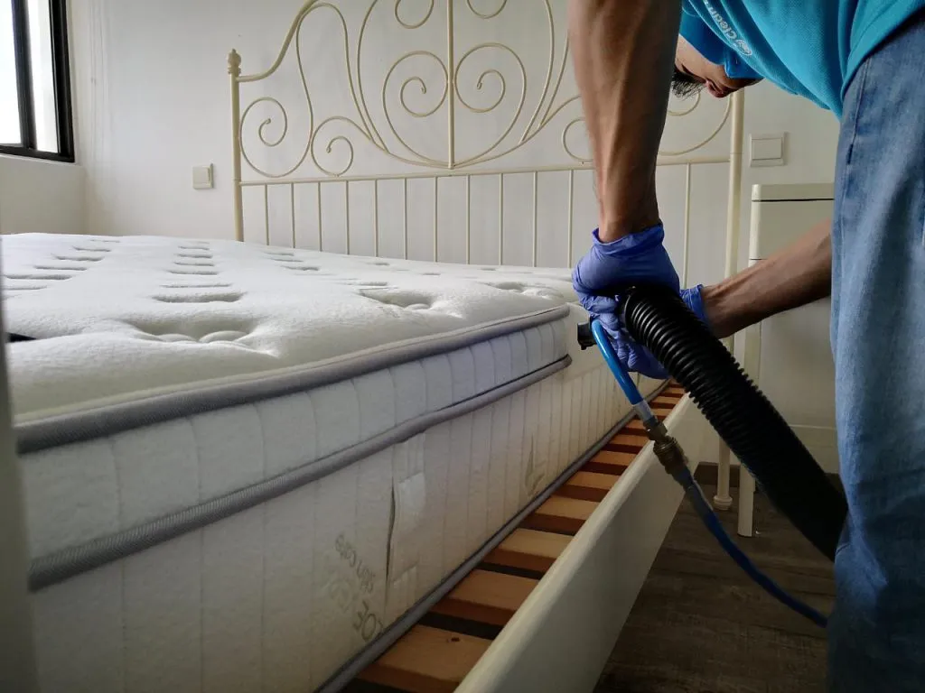 Mattress Cleaning Dubai – Expert Sanitization &amp; Odor Removal