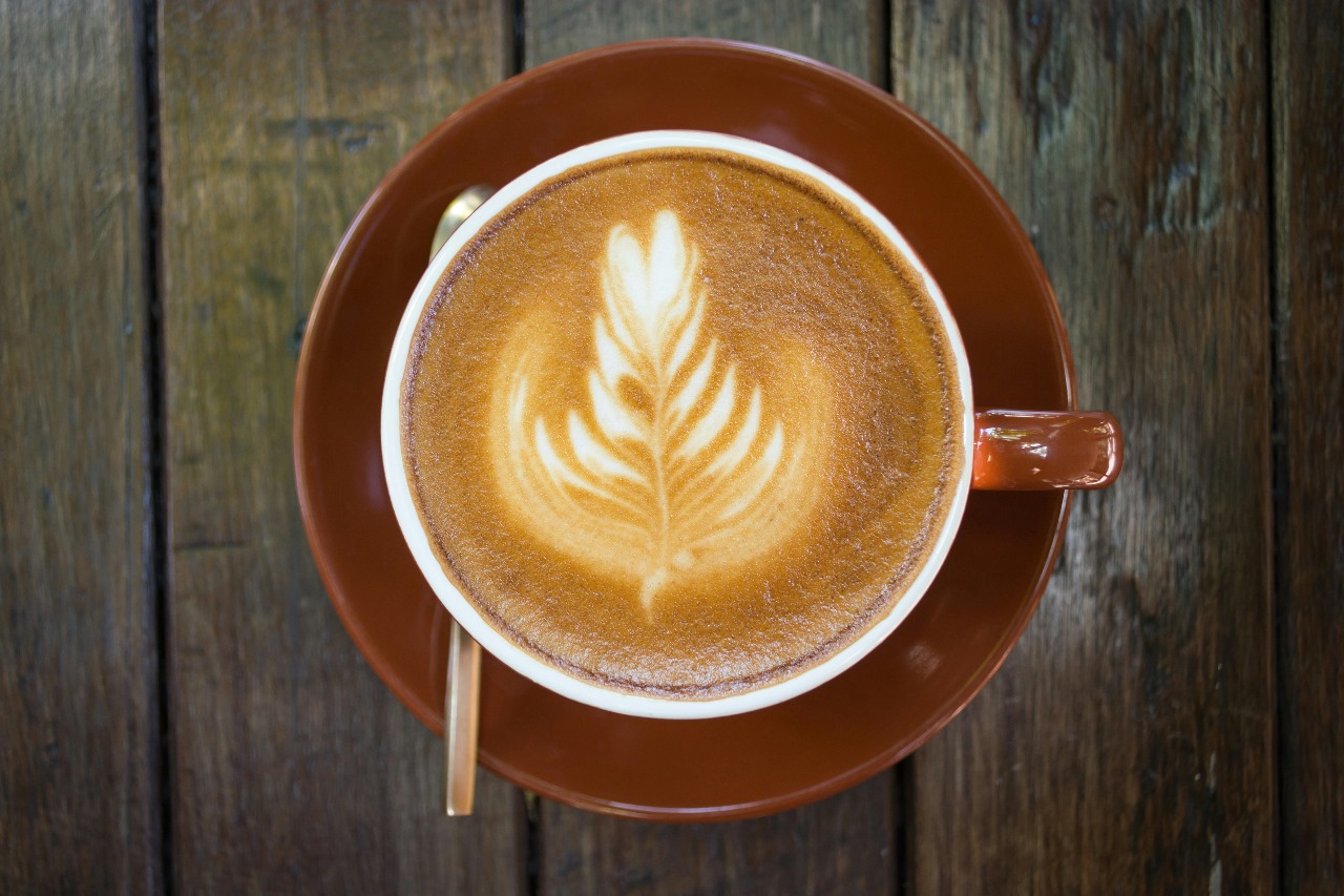 Cà phê organic là gì? Giải thích cùng The Coffee Health