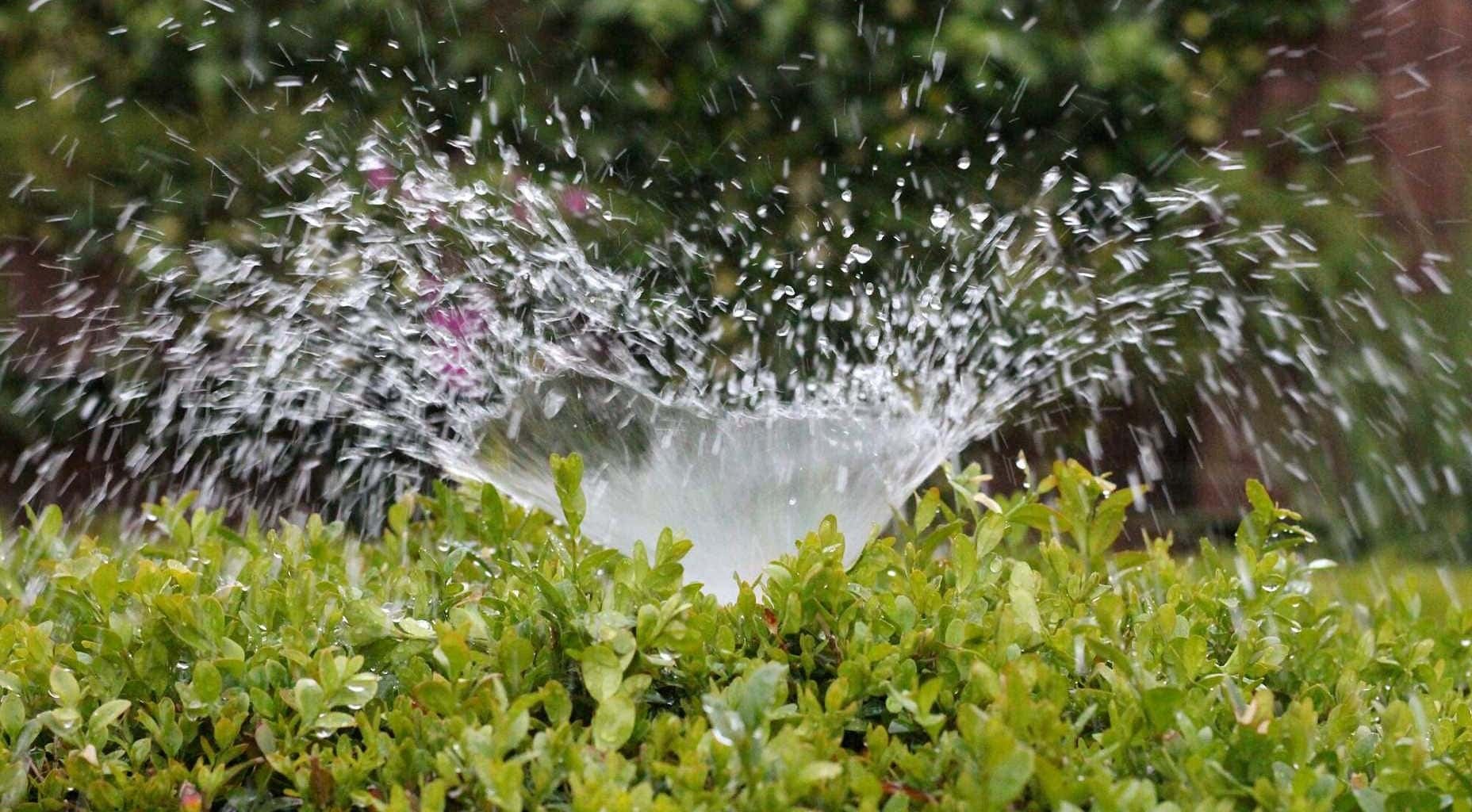 Expert Drainage Services in Saginaw , TX with Customized Solutions