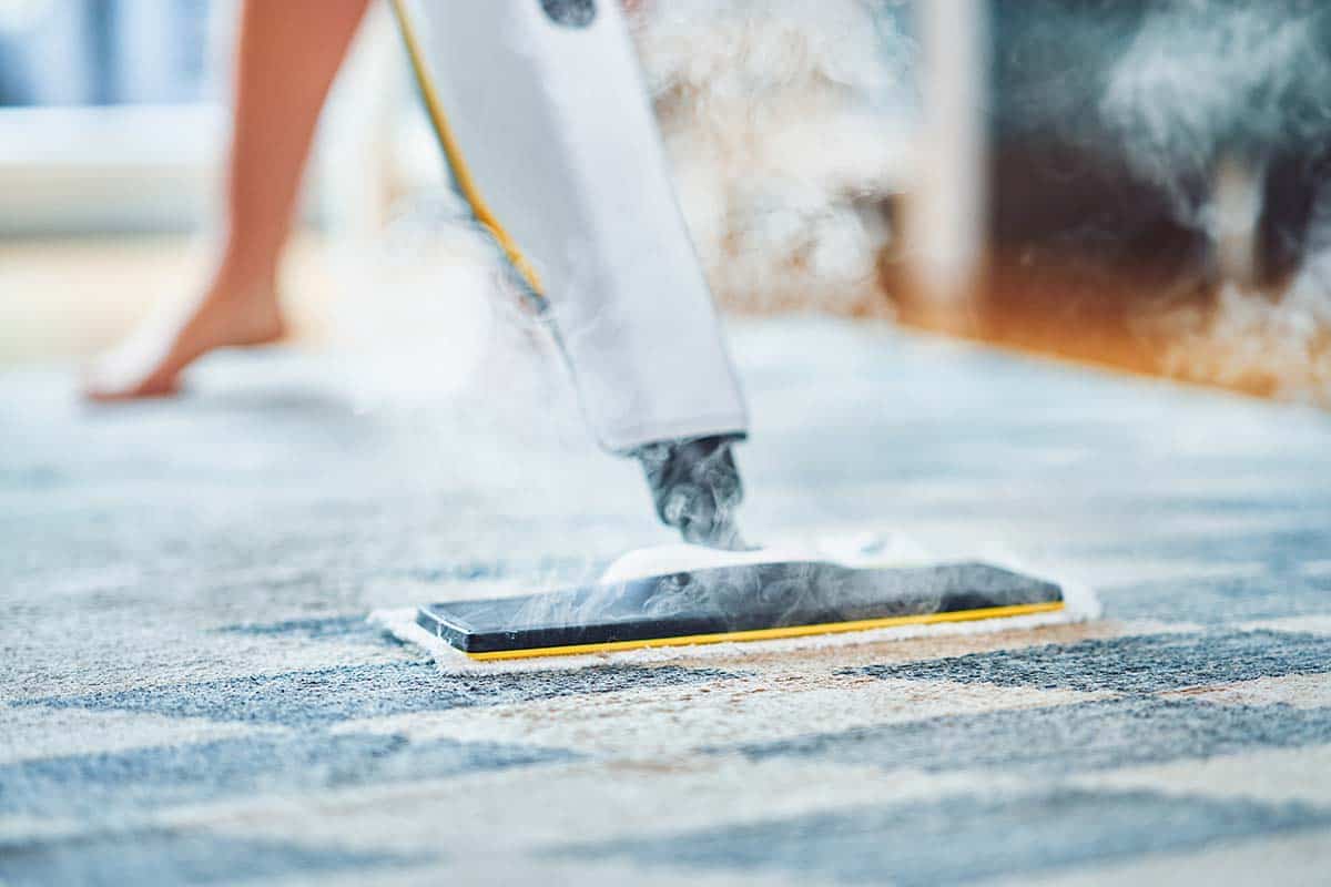 Revitalize Your Space with carpet cleaning barton creek austin tx Services
