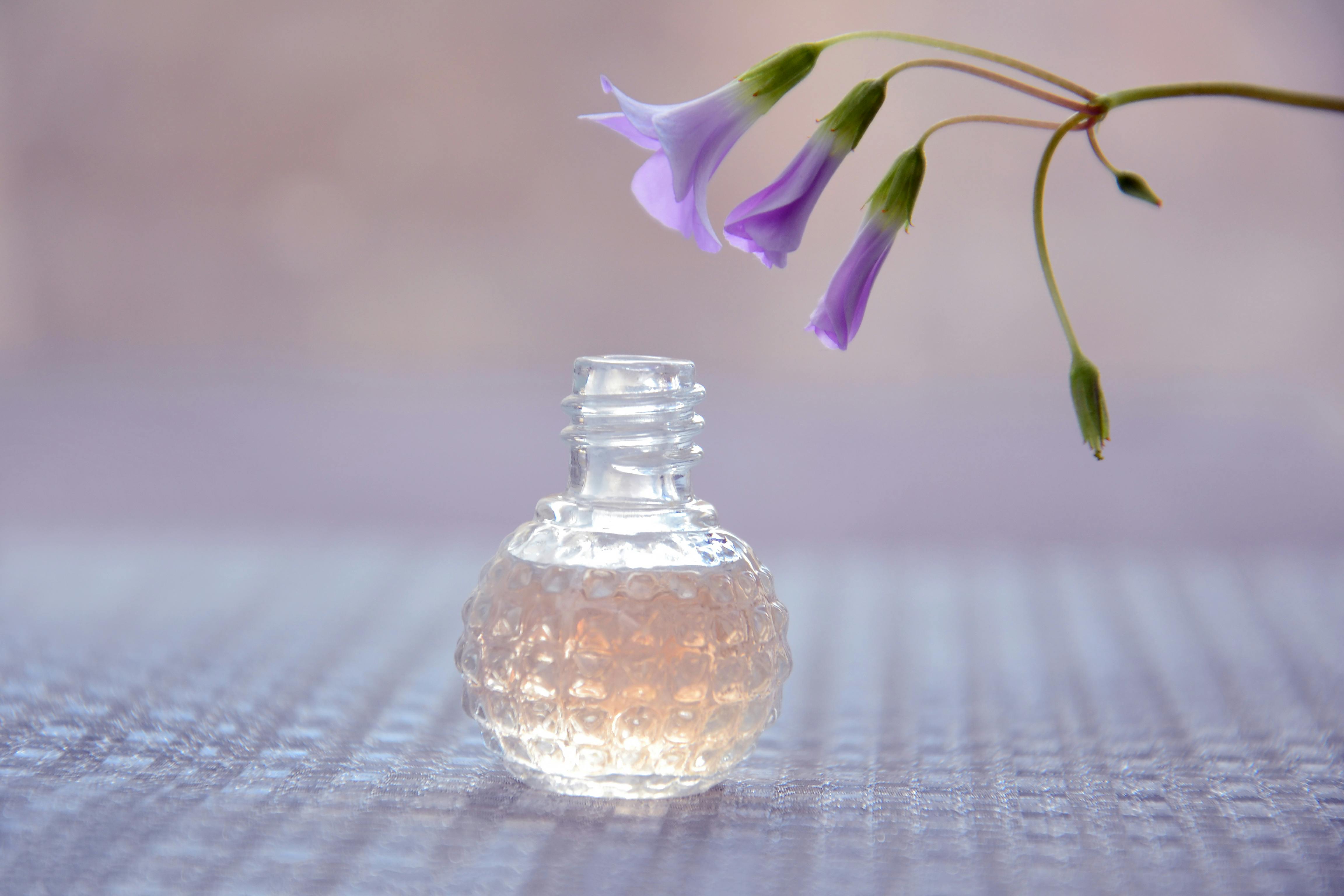 Black Opium Perfume Gift Ideas: Who Will Love This Scent Most?