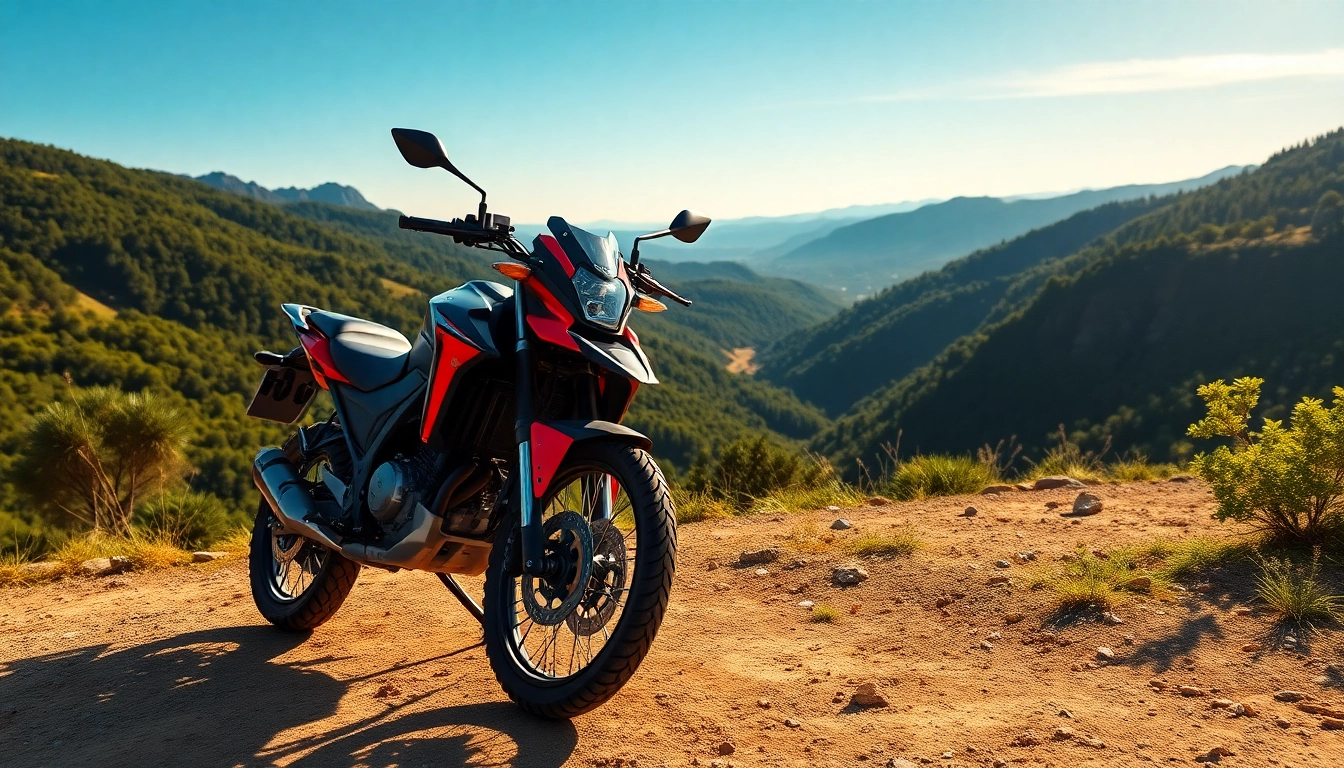 Ride the dynamic dual sport street legal motorcycles on scenic mountain trails.